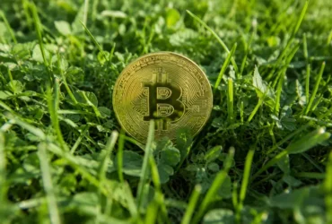 Біткоїн вперше за понад рік впав нижче $60 тис. – винні чипи та AI-акції