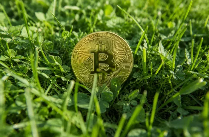Біткоїн вперше за понад рік впав нижче $60 тис. – винні чипи та AI-акції