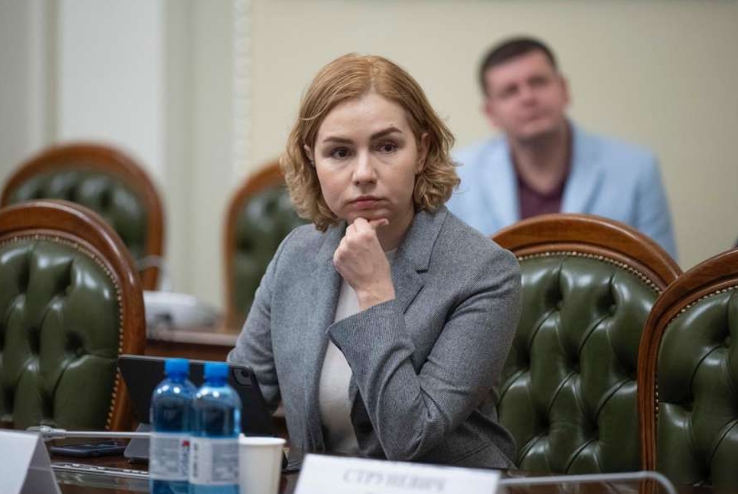 Голова парламентського комітету з питань антикорупційної політики Анастасія Радіна обурена урядовим варіантом Антикорупційної стратегії і вважає його відступом від євроінтеграційних зобов’язань