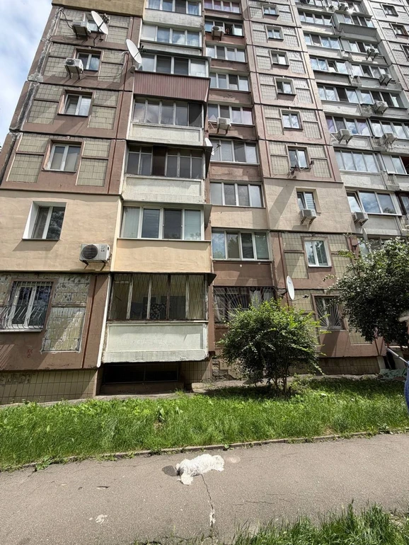Від отриманих травм після падіння пес породи бішон помер на місці