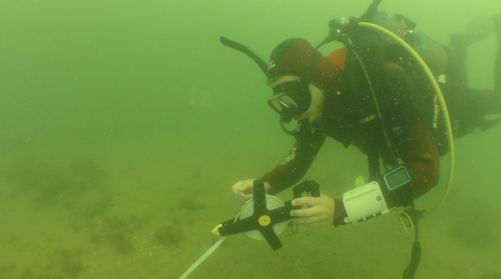 Водолази Інституту морської біології