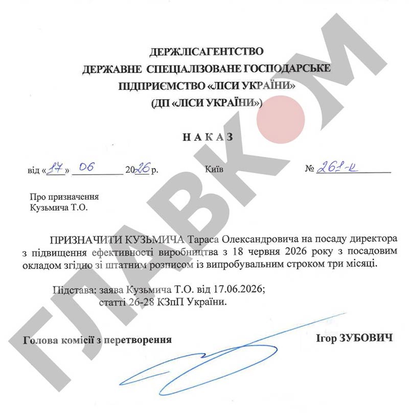 Екскерівник «Надр України» працевлаштувався у чергову державну контору з випробовувальним терміном фото 1