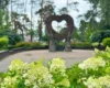 Сезон гортензій у Києві: де знайти 100-метрову алею та моносади (перелік адрес)