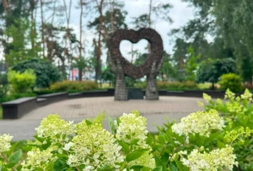 Сезон гортензій у Києві: де знайти 100-метрову алею та моносади (перелік адрес)