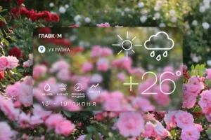 Прогноз погоди на тиждень 13 – 19 липня 2026 року