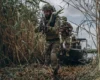 226 боїв за добу: лінія фронту станом на 30 липня 2026