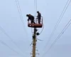 Російські обстріли призвели до знеструмлень у низці областей: деталі від Міненерго