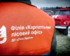 «Ліси України» вигнали з роботи 80 прибиральниць, а потім найняли їх через фірму-прокладку