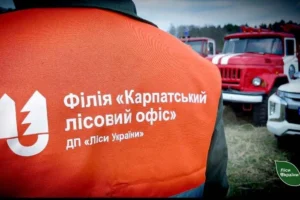 «Ліси України» вигнали з роботи 80 прибиральниць, а потім найняли їх через фірму-прокладку