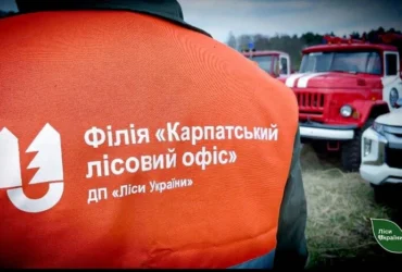 «Ліси України» вигнали з роботи 80 прибиральниць, а потім найняли їх через фірму-прокладку