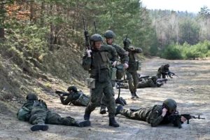 Лісами Польщі переміщатимуться солдати, патрулі та військова техніка: яка причина