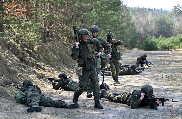 Лісами Польщі переміщатимуться солдати, патрулі та військова техніка: яка причина