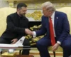 Стало відомо, коли Зеленський зустрінеться з Трампом у США