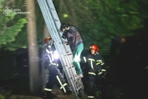 У Львові рятувальники зняли з дерева жінку, яка вилізла туди за котом