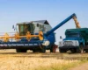Атаки України паралізували зерновий експорт Росії: найбільші термінали обмежили прийом