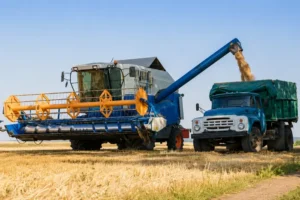 Атаки України паралізували зерновий експорт Росії: найбільші термінали обмежили прийом