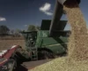Росію накрила нова криза. Під загрозою опинився врожай