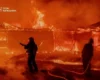На Білоцерківщині вночі палали склади з деревиною (фото)