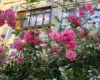 Спека та зливи. Синоптики розповіли, яким виявився перший місяць літа в столиці