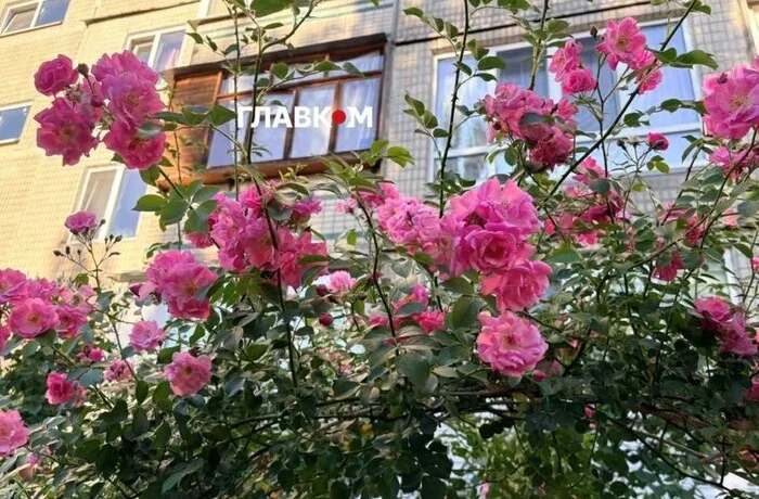 Спека та зливи. Синоптики розповіли, яким виявився перший місяць літа в столиці