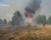 Синоптики попередили про надзвичайну пожежну небезпеку у Києві та області