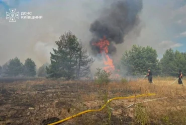 Синоптики попередили про надзвичайну пожежну небезпеку у Києві та області
