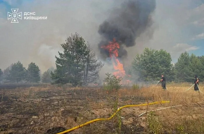 Синоптики попередили про надзвичайну пожежну небезпеку у Києві та області