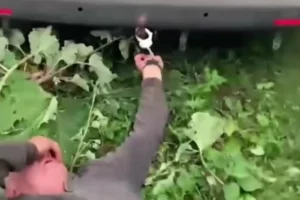 Скандал з ТЦК на Хмельниччині: 61-річного чоловіка могли прикувати до авто