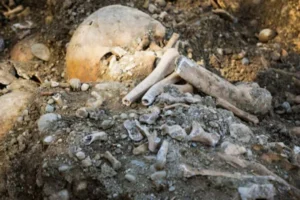 У рідному місті Гітлера дитина знайшла поховання 120 людей