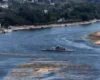 Головна річка Німеччини засихає: під загрозою найбільші заводи країни