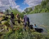 На річці Рось корова впала у воду та не могла вибратися: деталі рятувальної операції (фото)