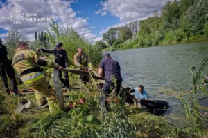 На річці Рось корова впала у воду та не могла вибратися: деталі рятувальної операції (фото)