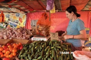 Сезон консервації у розпалі: скільки коштують огірки на столичному ринку