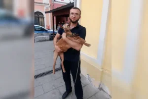 У Москві заарештовано чоловіка за прогулянку Червоною площею з козою