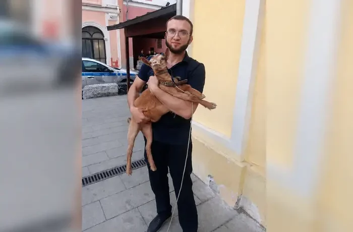 У Москві заарештовано чоловіка за прогулянку Червоною площею з козою