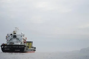 Європа визнала неминучими збори за прохід через Ормузьку протоку