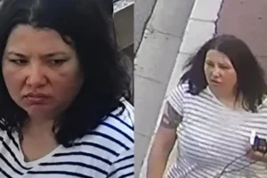 Прикордонники пояснили, як підозрювана у замаху на Єрмолаєва в’їхала в Україну