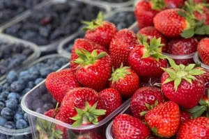 Де у Києві проходитимуть продуктові ярмарки 21-26 липня (адреси)