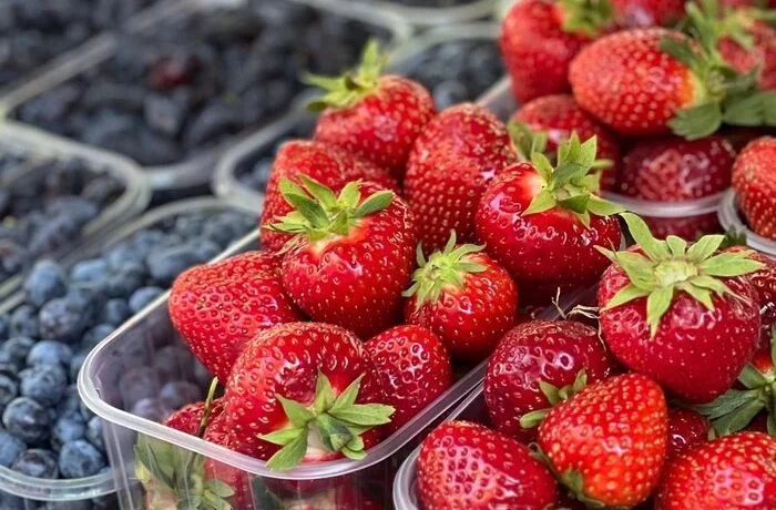 Де у Києві проходитимуть продуктові ярмарки 21-26 липня (адреси)