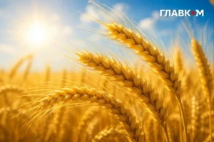 Сонце, літня спека та висока пожежна небезпека: погода в Україні на 31 липня