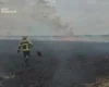 На Броварщині горіло пшеничне поле: рятувальники гасили вогонь майже годину