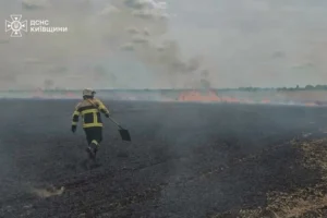 На Броварщині горіло пшеничне поле: рятувальники гасили вогонь майже годину