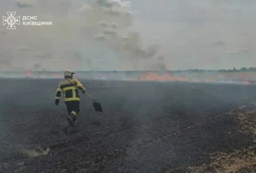На Броварщині горіло пшеничне поле: рятувальники гасили вогонь майже годину