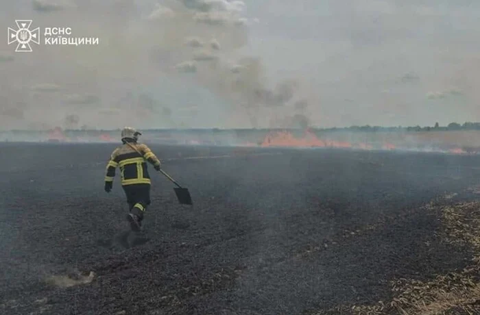 На Броварщині горіло пшеничне поле: рятувальники гасили вогонь майже годину