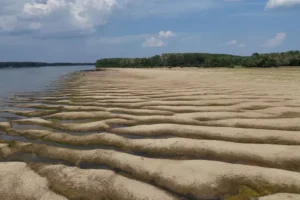 У Румунії зафіксовано найнижчий рівень води в Дунаї за 30 років