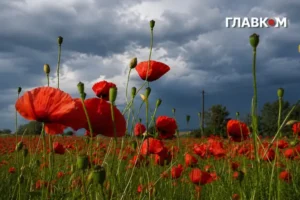 Вихідні в Україні пройдуть під дощами та грозами: погода на 11 липня 2026