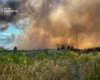 Під Вишгородом на Київщині спалахнула масштабна пожежа (фото)