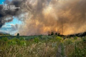 Під Вишгородом на Київщині спалахнула масштабна пожежа (фото)