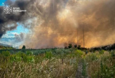 Під Вишгородом на Київщині спалахнула масштабна пожежа (фото)
