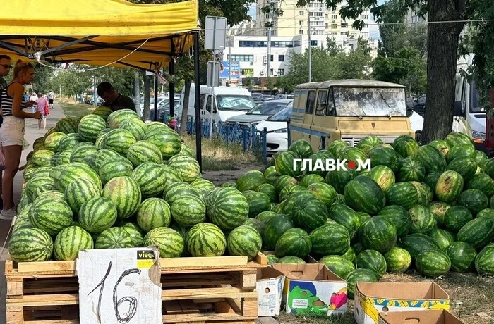 Сезон у розпалі: скільки коштують кавуни та дині на столичному ринку